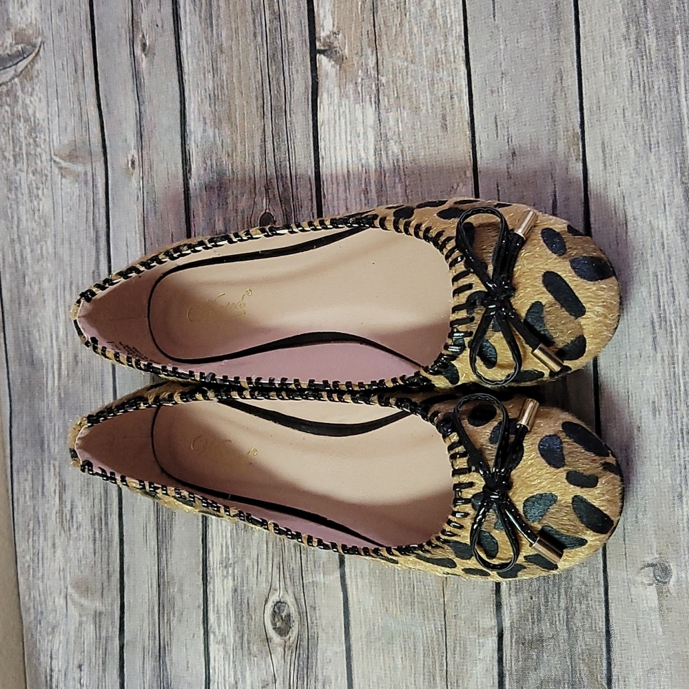 Wanted flats